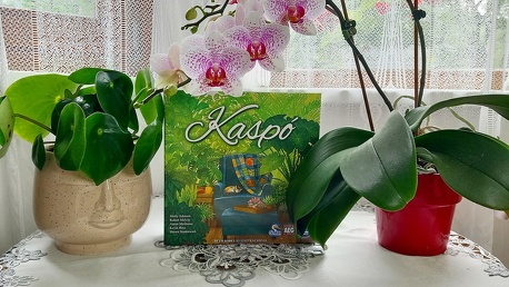 Fény, szín és illat – Kaspó