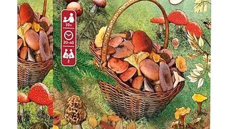 Fungi