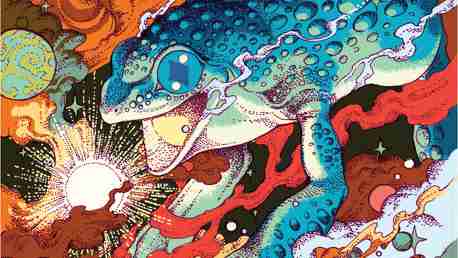 Cosmic Frog