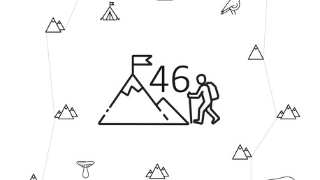 46