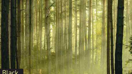 Black Forest